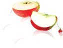 apples.